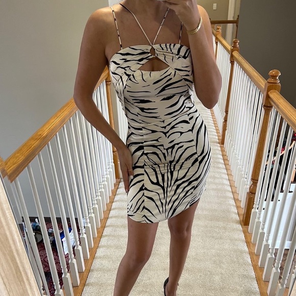 Zara Zebra Dress - Picture 7 of 7